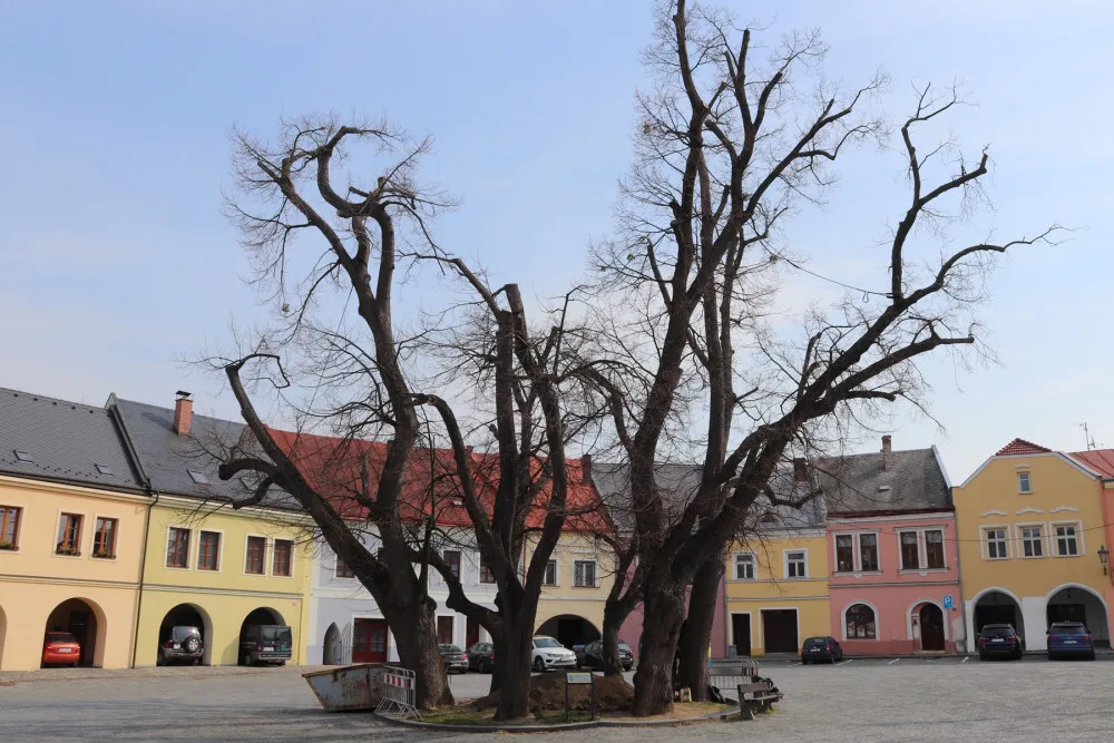 Na Horním náměstí v Přerově zkoumají archeologové studnu. Zatím narazili na zákopové desky a mince