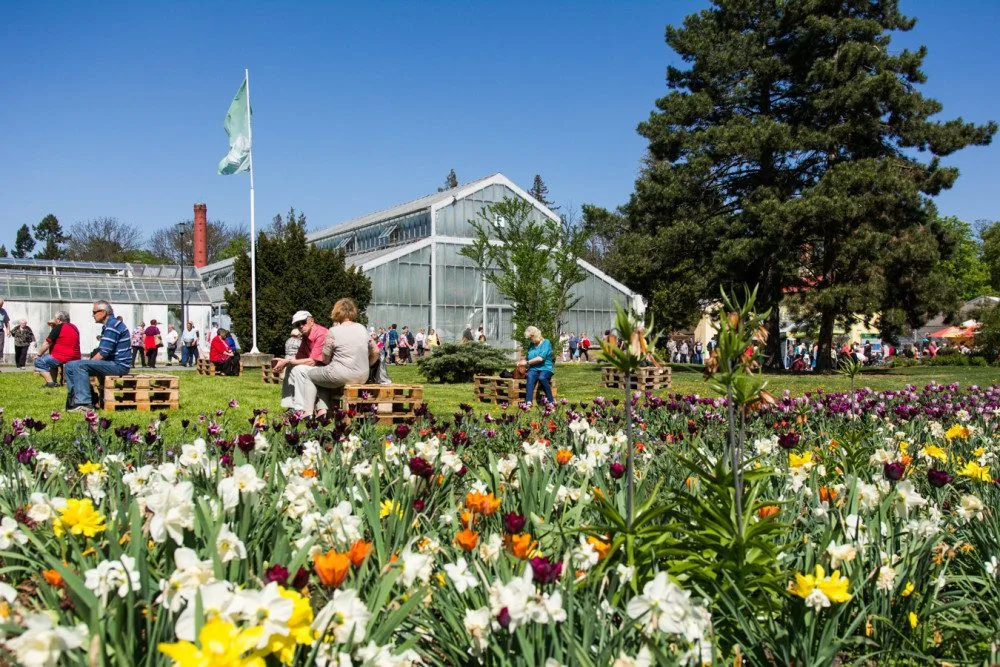Jarní Flora je minulostí. Přilákala přes 65 tisíc návštěvníků