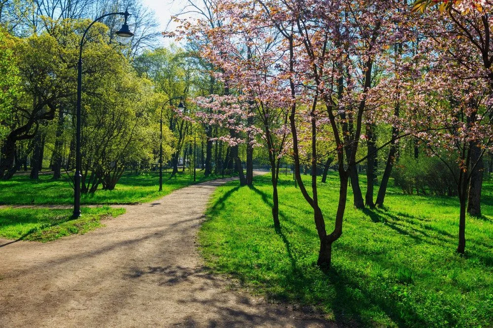 ilustrační foto