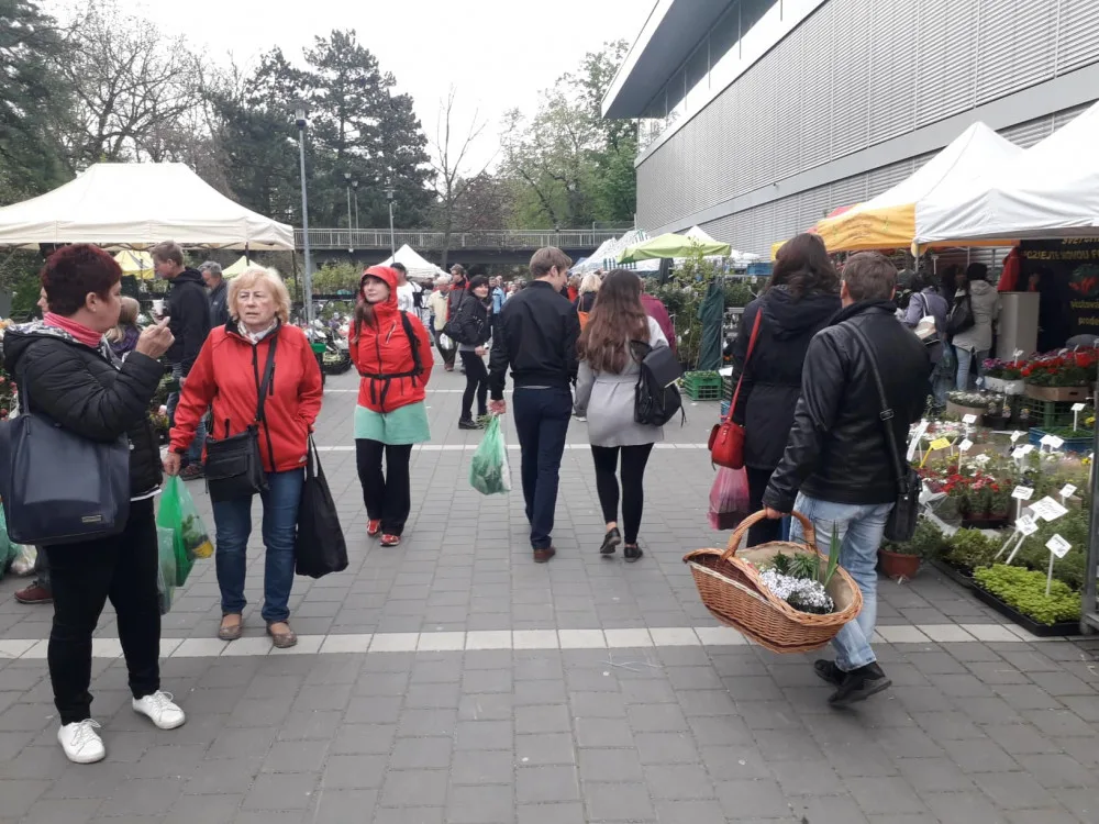 ČOI na Floře zjistila prohřešky u téměř poloviny kontrolovaných prodejců