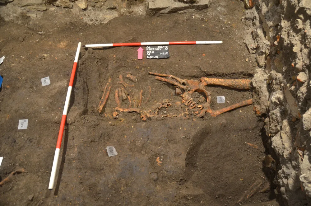 Stopy po syfilisu našli archeologové v hrobě na nádvoří fakulty. Nakažený žil s infekcí v těle pravděpodobně až 20 let