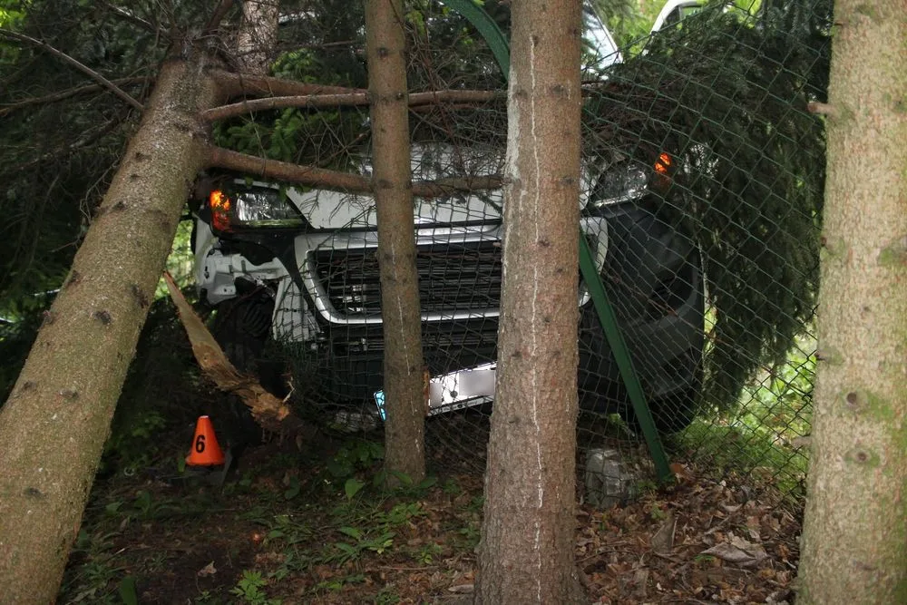 Devatenáctiletý řidič dodávky usnul během jízdy. Auto narazilo do plotu a stromů