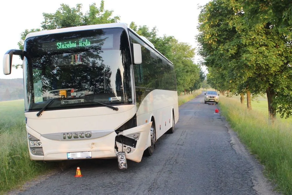 Divoké prase vběhlo do cesty autobusu. Řidičce se nepodařilo srážce zabránit a zvíře uhynulo