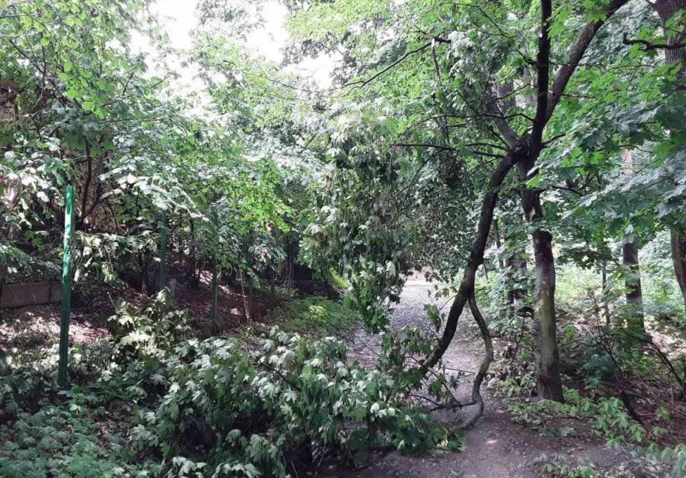 FOTO/VIDEO: Dnešní silné bouřky si vyžádaly desítky zásahů hasičů hlavně na Olomoucku