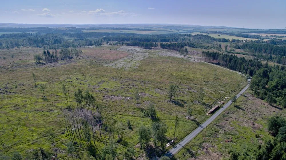 FOTO/VIDEO: Oslabené lesy napadá kůrovec. Dobrovolníci dostanou sazenice a pomohou s výsadbou