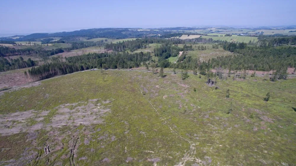 FOTO/VIDEO: Oslabené lesy napadá kůrovec. Dobrovolníci dostanou sazenice a pomohou s výsadbou