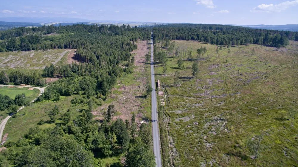 FOTO/VIDEO: Oslabené lesy napadá kůrovec. Dobrovolníci dostanou sazenice a pomohou s výsadbou