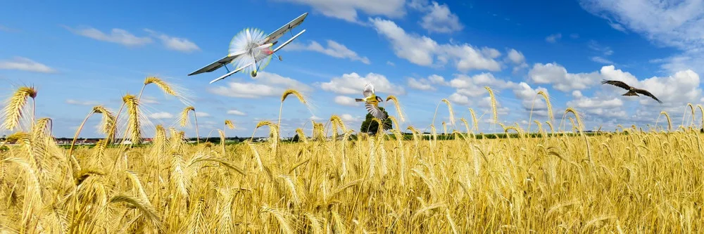 ilustrační foto