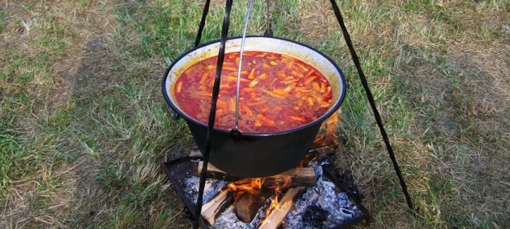 Pivní a gulášové slavnosti ve Velkém Týnci letos nabídnou Linu Mayer nebo Mňágu a Žďorp