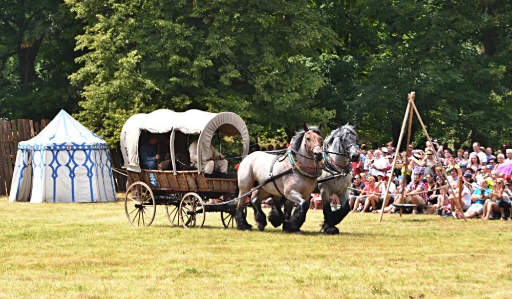 Víkend bude v Čechách pod Kosířem patřit historickým kočárům, koňským spřežením a mistrům 19 řemesel. Koná se Josefkol 2019