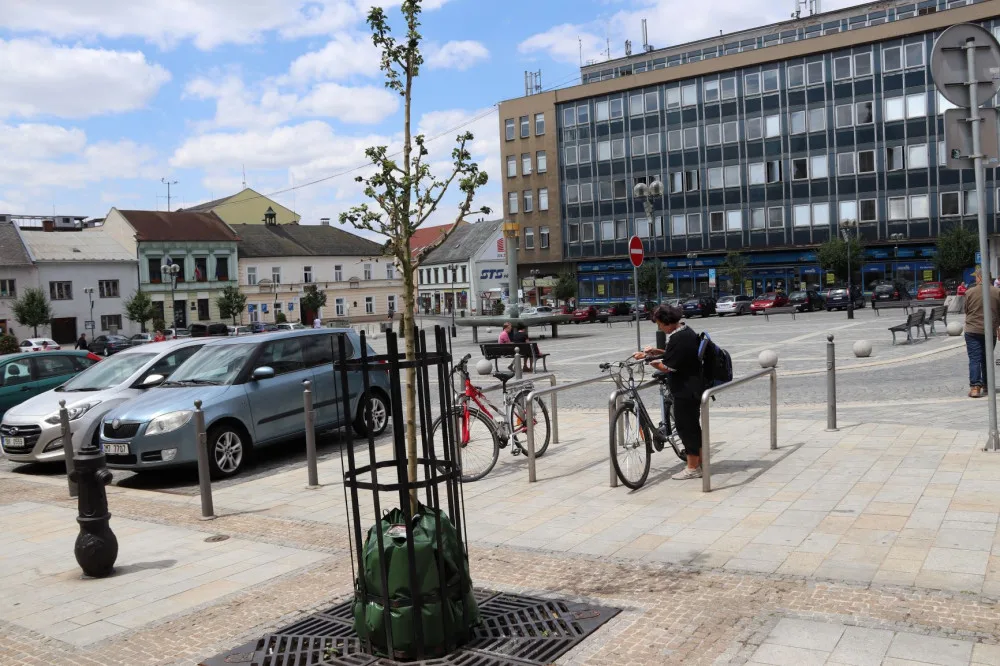 Padesát dřevin bude v Přerově zavlažováno vaky. Pomohou jim přežít během horka a sucha