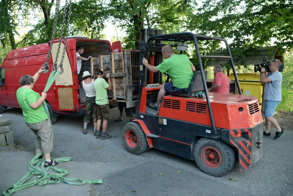 FOTO/VIDEO: Medvědi, kteří byli zabaveni na letišti, odjeli z Olomouce do Českého Krumlova