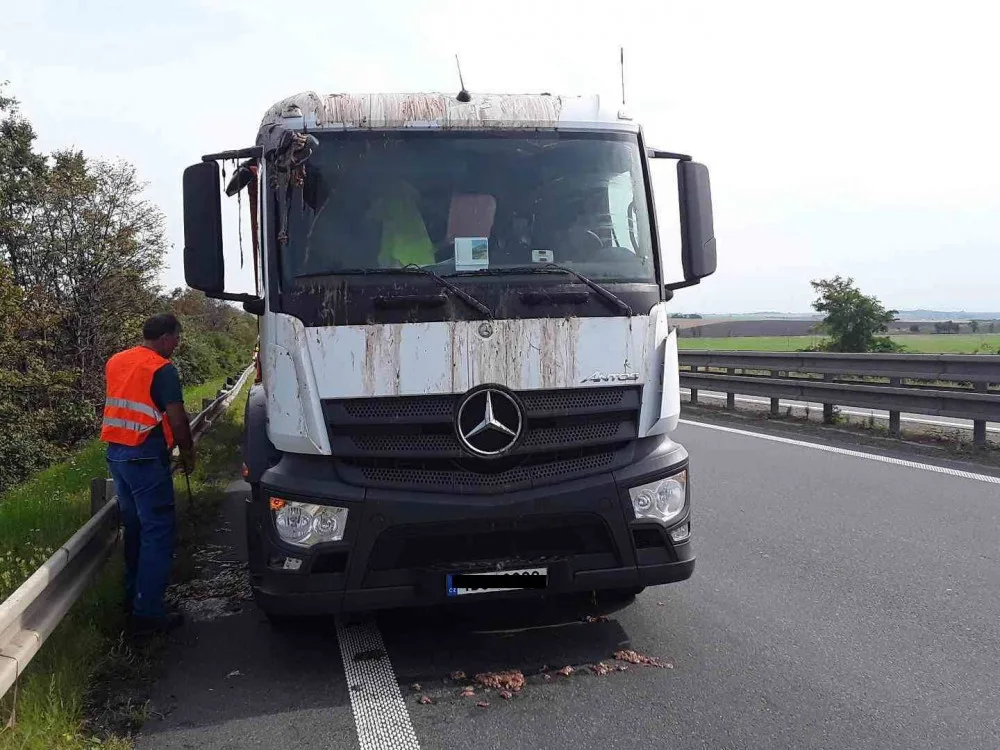 AKTUÁLNĚ: Na dálnici se vysypal náklad z kafilerie. Vytvořil vrstvu dlouhou padesát metrů