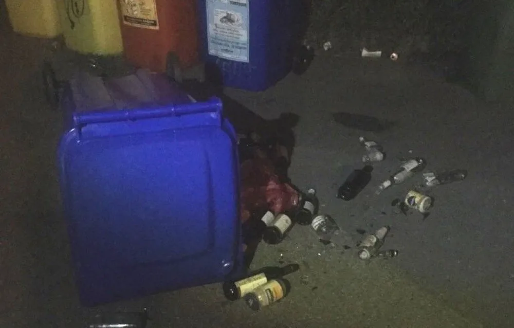 Vandalové řádili v Neředíně. Poškodili lampu a vysypali popelnici