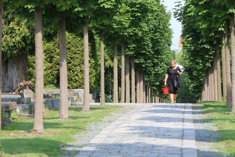 FOTO: Na olomouckém hřbitově je nová socha Ježíše, pietní místo a dlážděná cesta