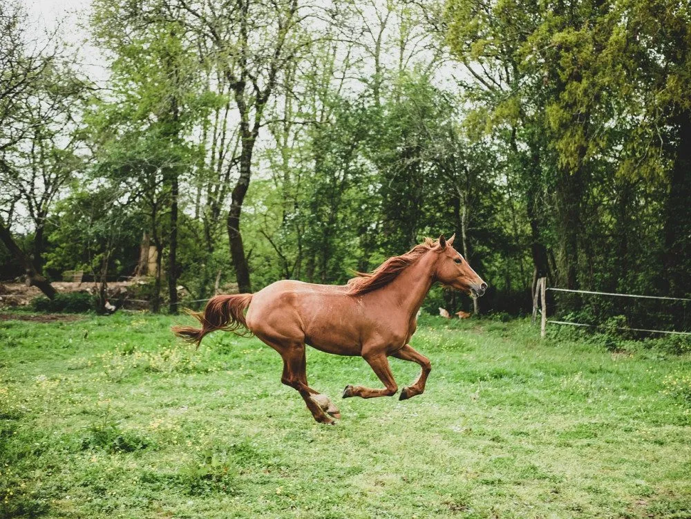 ilustrační foto