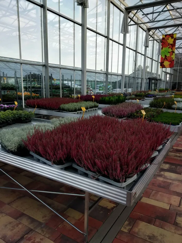 FOTO: V Olomouci otevřelo nové Zahradní centrum Florcenter. Podívejte se na fotky