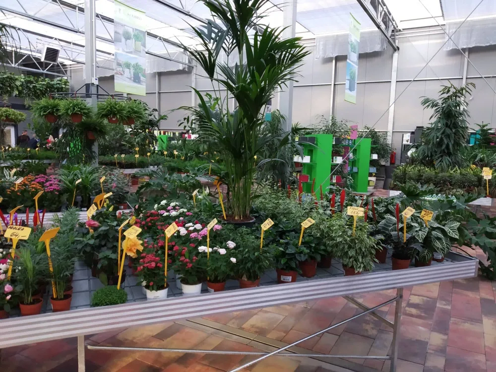 FOTO: V Olomouci otevřelo nové Zahradní centrum Florcenter. Podívejte se na fotky