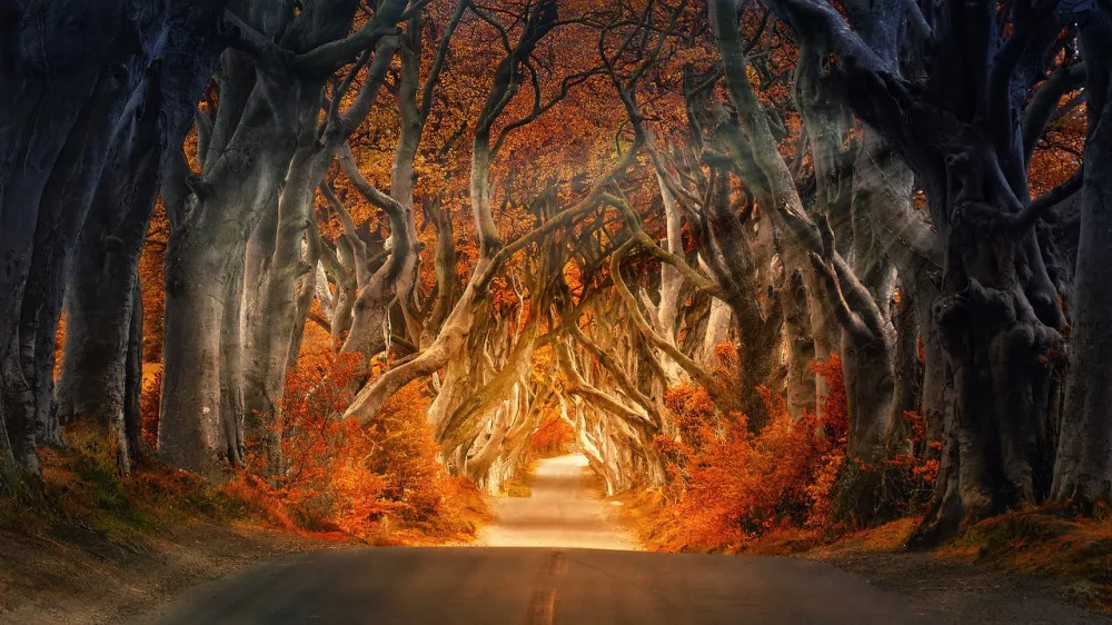 ilustrační foto
