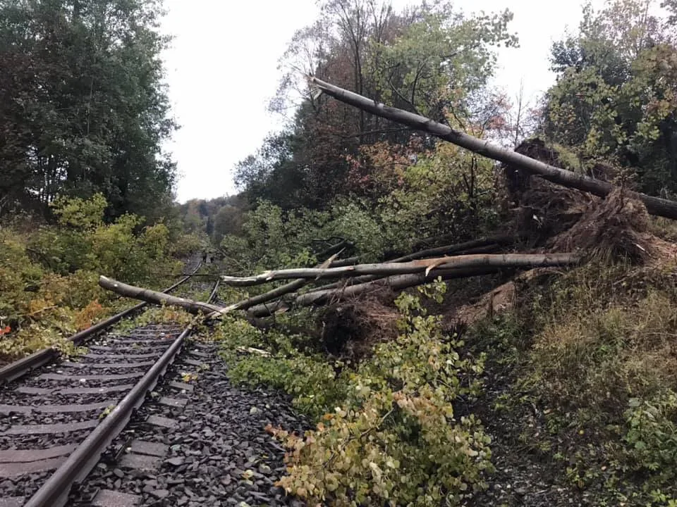FOTO: Rychlík, ve kterém bylo přes třicet cestujících, narazil do sedmi popadaných stromů