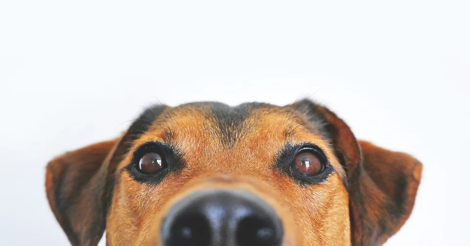 ilustrační fotografie