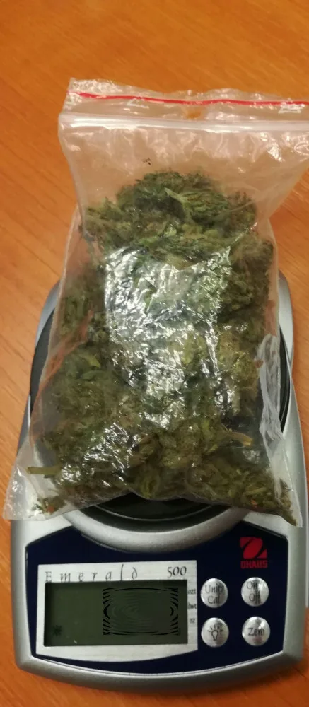 FOTO: Marihuana, hašiš i pervitin. Olomoučtí kriminalisté odhalili za víkend tři dealery drog