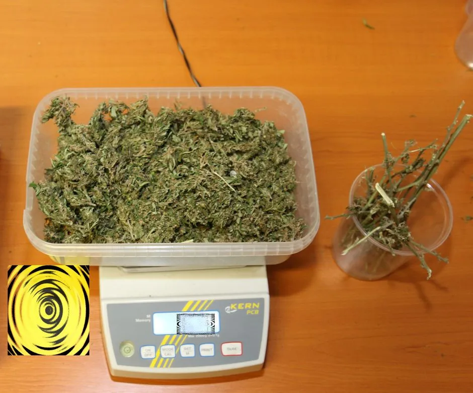 FOTO: Marihuana, hašiš i pervitin. Olomoučtí kriminalisté odhalili za víkend tři dealery drog