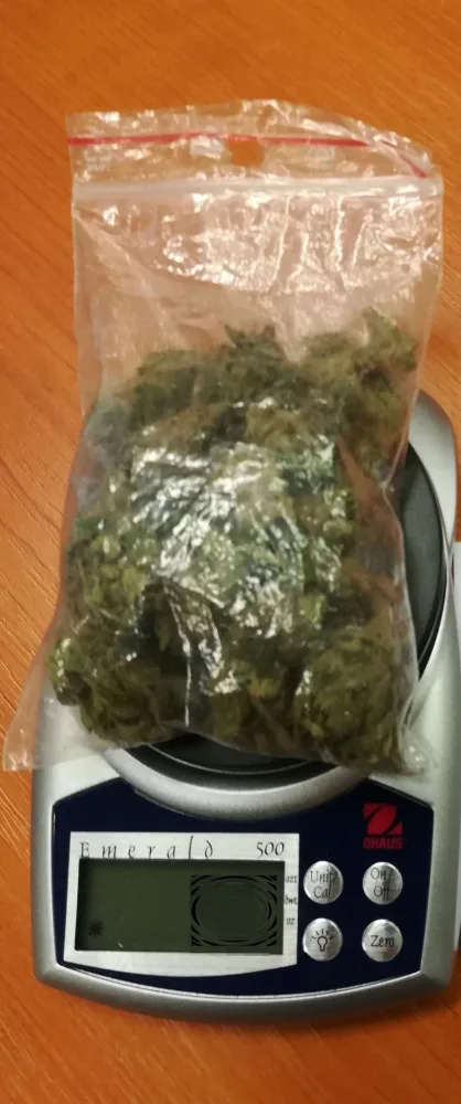 FOTO: Marihuana, hašiš i pervitin. Olomoučtí kriminalisté odhalili za víkend tři dealery drog