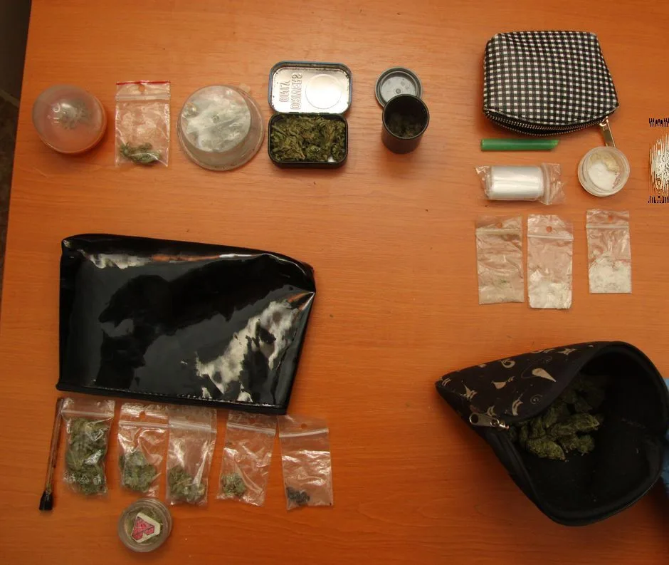 FOTO: Marihuana, hašiš i pervitin. Olomoučtí kriminalisté odhalili za víkend tři dealery drog