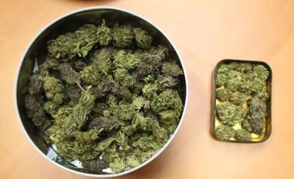 FOTO: Marihuana, hašiš i pervitin. Olomoučtí kriminalisté odhalili za víkend tři dealery drog