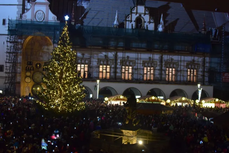 Střelka 2017, 12m