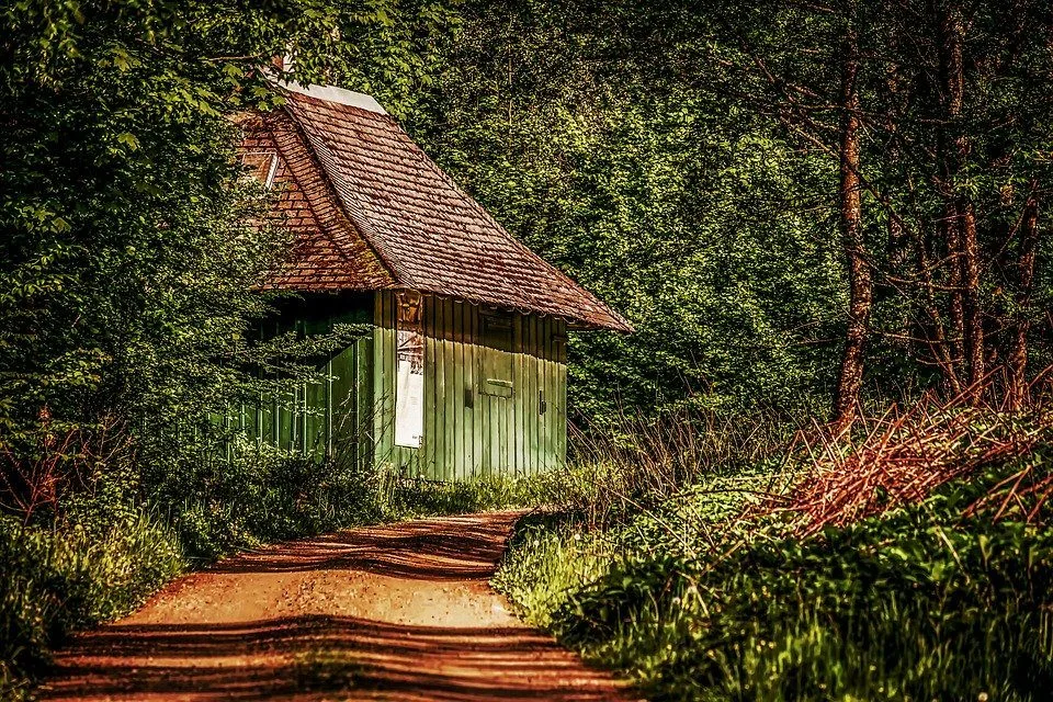 ilustrační foto