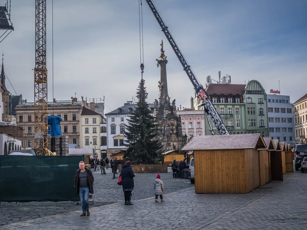 FOTO: Olomouckým vánočním stromem je jedenáctimetrový smrk. Podívejte se