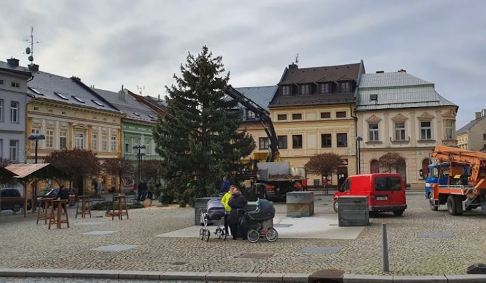 FOTO: Ve Šternberku už stojí vánoční strom. Je z Bohuňovic a rozsvěcovat se bude v neděli