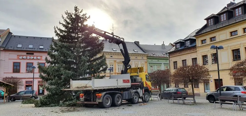 FOTO: Ve Šternberku už stojí vánoční strom. Je z Bohuňovic a rozsvěcovat se bude v neděli