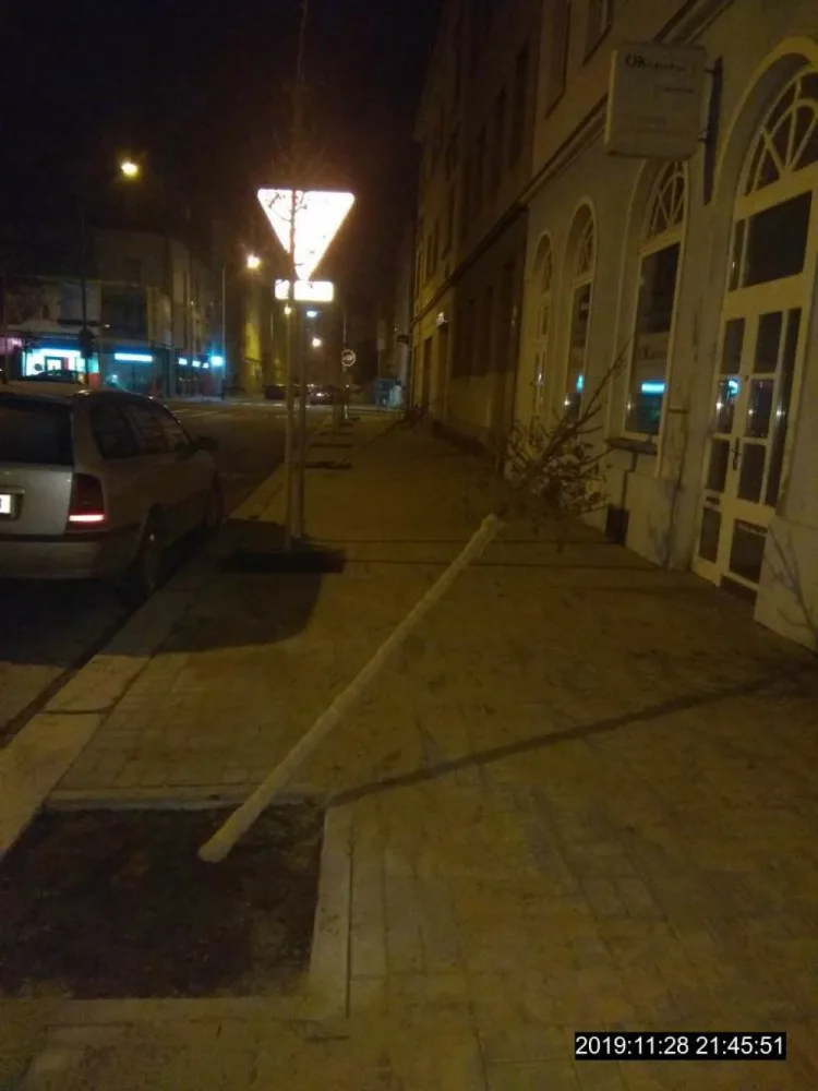 Dva muži poničili vysázené stromky. Před strážníky pak utekli