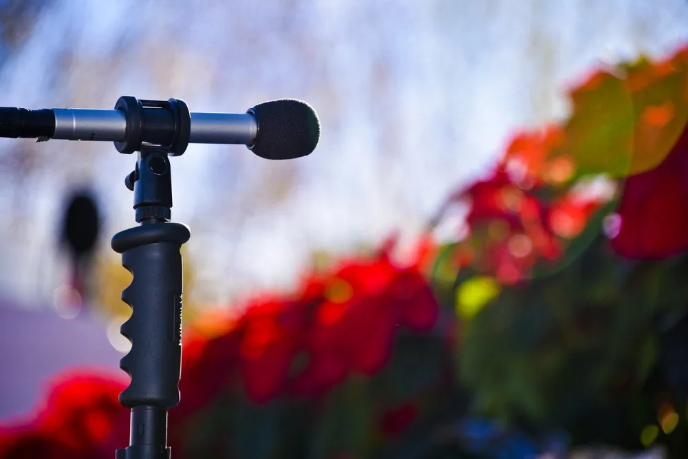 microphone-2817923_1280