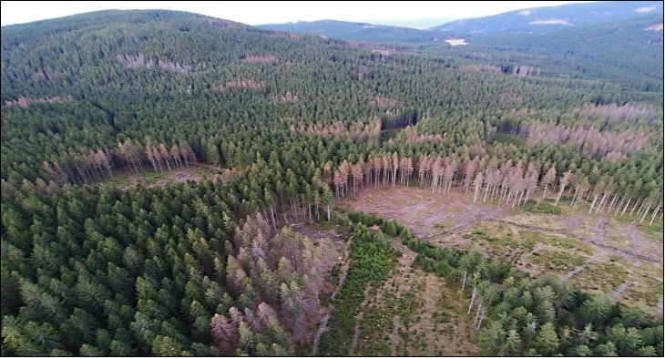 Pohled z dronu na Jeseníky