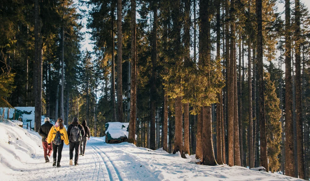 ilustrační foto