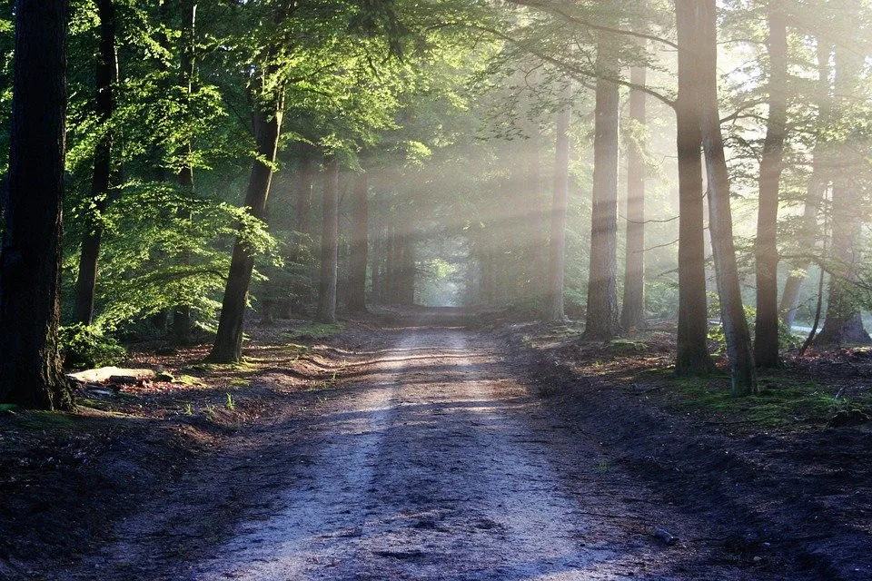 ilustrační fotografie