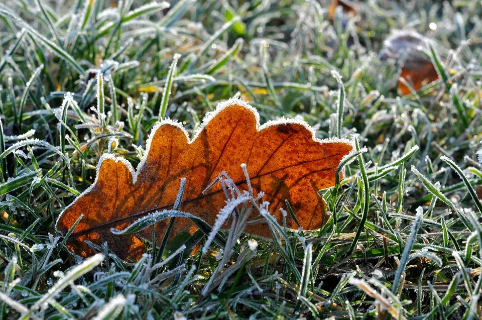 ilustrační fotografie