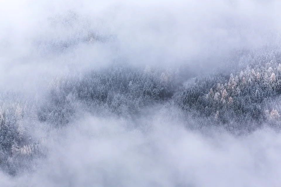 ilustrační fotografie