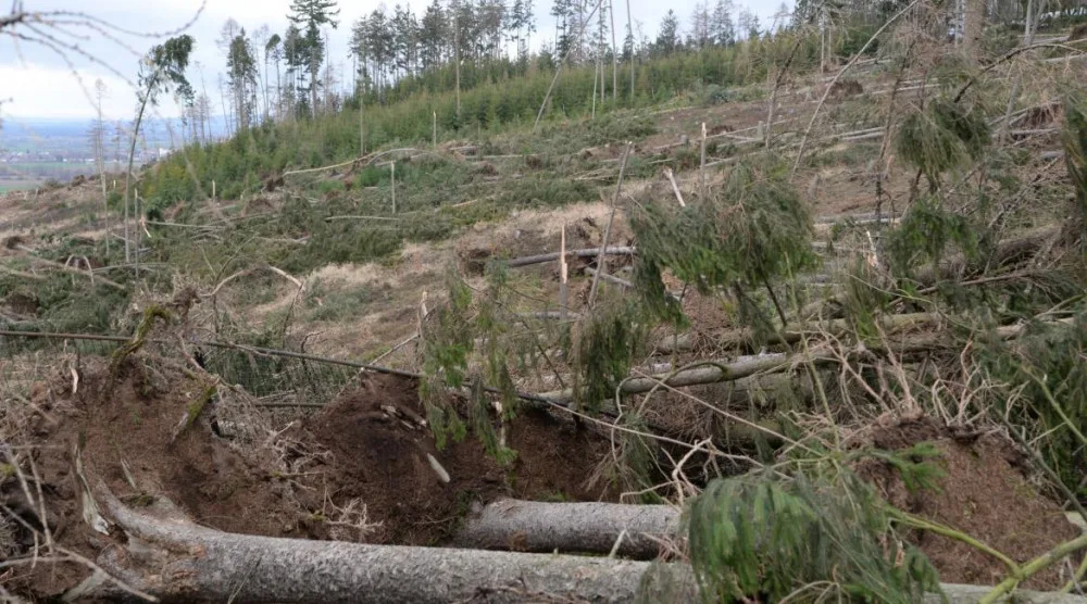 Výše škod na následky živlů se zvýšily desítky procent. Mezi nejpostiženější patří Olomoucký kraj