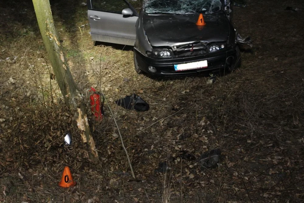 FOTO: Dvaadvacetiletá řidička nezvládla zatáčku, s autem narazila do stromu a skončila v poli