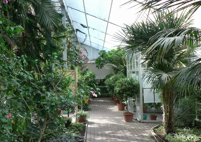 Sbírkové skleníky Flora Olomouc