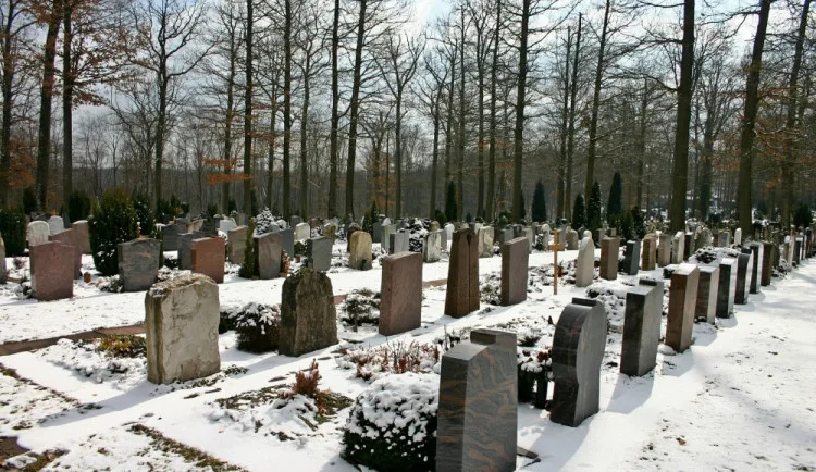 ilustrační foto