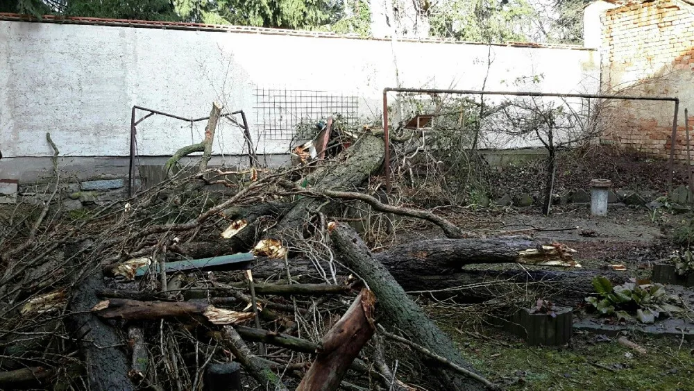 FOTO/VIDEO: Hasiči i dnes pokračují v likvidaci škod po silném větru, evidují desítky výjezdů