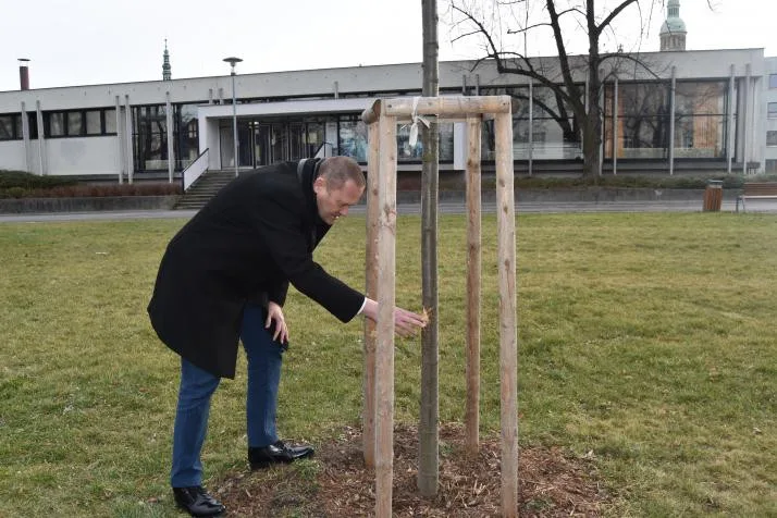 Hledá se páníček. Strážníci potřebují pomoct v případu poškozené lípy
