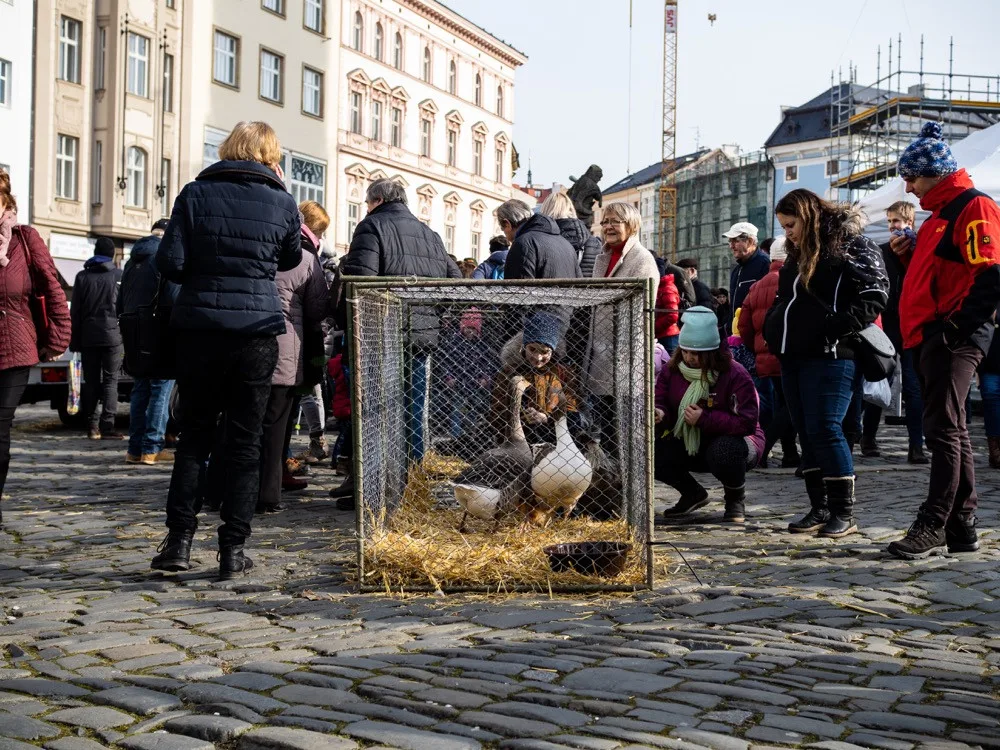 FOTOGALERIE: Olomouckým náměstím prošel druhý masopustní průvod