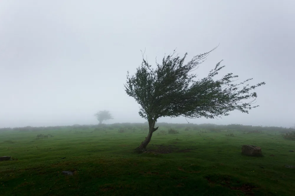 size4-15822859265929-124-mahkeo-wtwssqwyla0-unsplash
